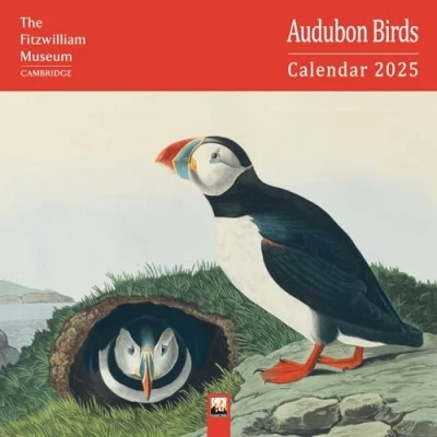 Afbeelding van Fitzwilliam Museum: Audubon Birds Wall Calendar 2025 (Art Calendar)