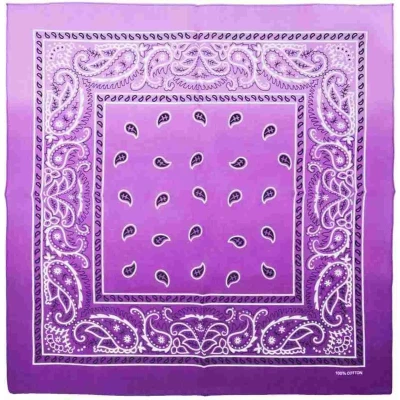 Afbeelding van Zac&#039;s Alter Ego Purple Two Tone Paisley Bandana Paars