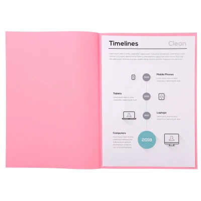 Afbeelding van Exacompta ref. 850103E Set van 100 pastelkleurige inlegmappen SUPER 60 g/m2 in PEFC™ gecertificeerde mappen Afmetingen: 22 x 31 cm voor A4 roze kleur