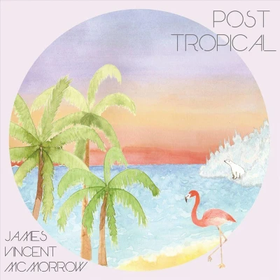 Afbeelding van Post Tropical
