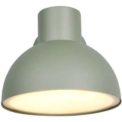 Afbeelding van TRIO ELBE Wandlamp Groen excl. 1x E27 4,9 W Wandmontage Buitenverlichting IP44