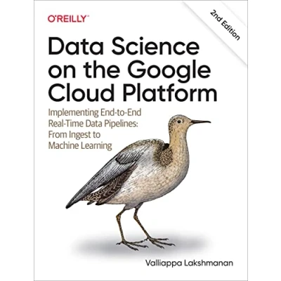 Afbeelding van Data Science on the Google Cloud Platform: Implementing End to Real Time Pipelines: From Ingest Machine Learning