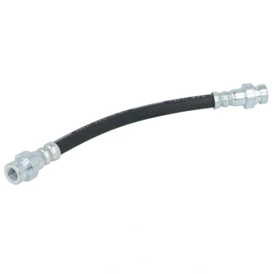 Afbeelding van Delphi Diesel Remslang LH6197