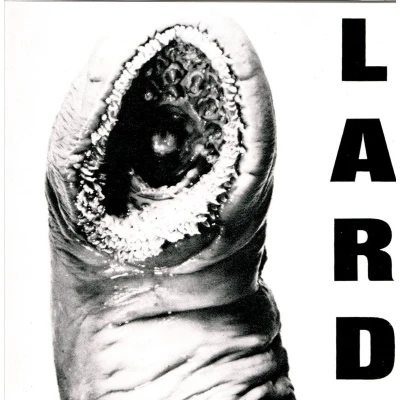 Afbeelding van Power Of Lard