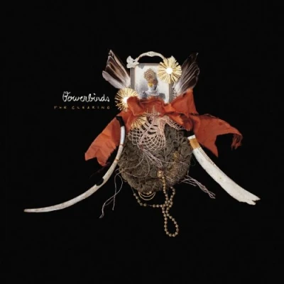 Afbeelding van Bowerbirds The Clearing (CD)