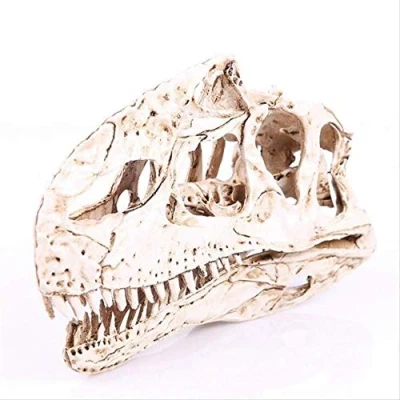 Afbeelding van LIJIE Halloween Hars Monolofosaurus Schedel Skelet Hoofd Standbeeld Craft Dinosaurus Standbeelden Voor Decoratie Home Decor Beeldjes Beeldhouwkunst