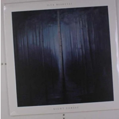Afbeelding van Ilya Beshevli Night Forest