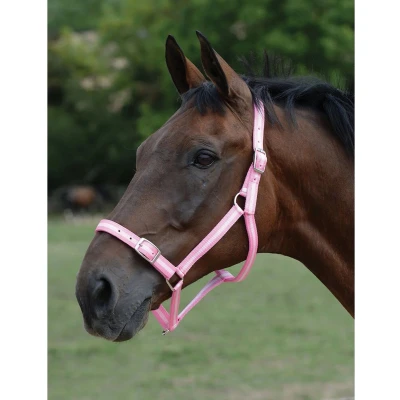 Afbeelding van Roma Hoofdband en Lood Touw Set Roze/Zilver Cob
