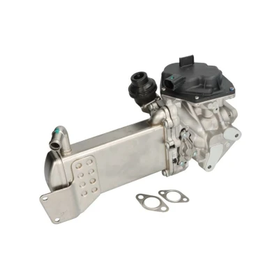 Afbeelding van EGR klep MAGNETI MARELLI 571822112212