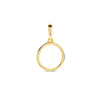 Afbeelding van goud (geelgoud) hanger rondje 4024428