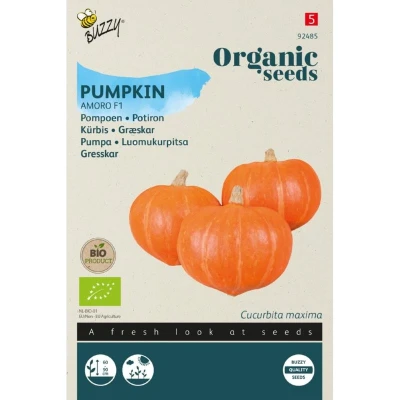 Afbeelding van Pompoen &#039;Amoro F1&#039; Buzzy Organic (BIO) Hokkaido pompoen, Cucurbita, Pompoenzaden, Eetbaar
