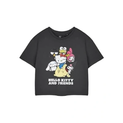 Afbeelding van Hello Kitty &amp; Friends grijs bijgesneden T shirt met korte mouwen grafisch voor dames Leuke Sanrio Characters Top, houtskool, M