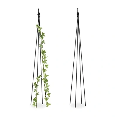Afbeelding van Relaxdays plantensteun set van 2 rankhulp 120 cm hoog klimplanten metaal zwart