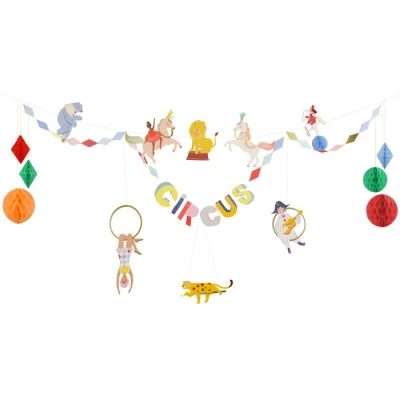 Afbeelding van meri slinger circus