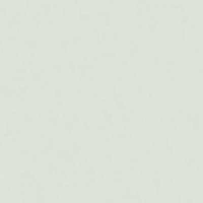 Afbeelding van Dutch Wallcoverings Kalk III 61075