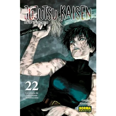 Afbeelding van JUJUTSU KAISEN 22
