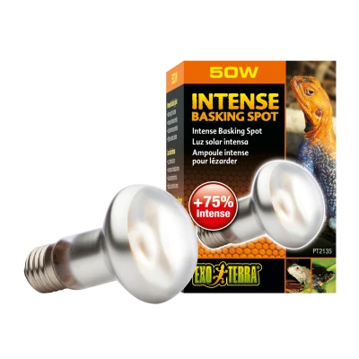 Afbeelding van Exo Terra Intense Basking Spot Verwarming 50 Watt S20