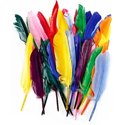 Afbeelding van Veren, l: 17 20 cm, 250 stuks, diverse kleuren