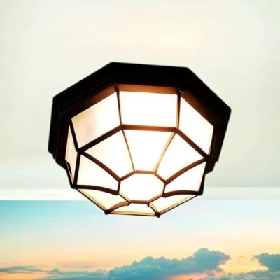 Afbeelding van Buitenlamp zwart in rustiek design E27 IP44 waterdicht perfect voor tuin en terras