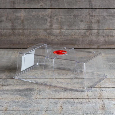Afbeelding van Garland small high dome propagator