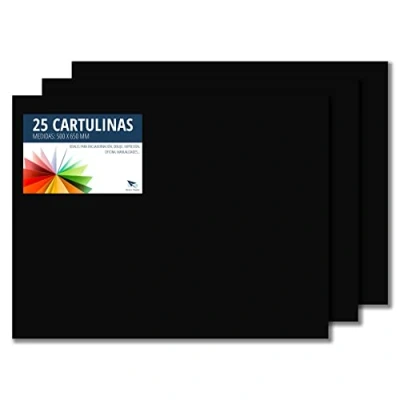 Afbeelding van Raylu Paper® 50 x 65 cm, 25 stuks, 180 g/m², kleuren, ideaal voor knutselwerk, kantoor, tekenen, papyroflex (zwart)