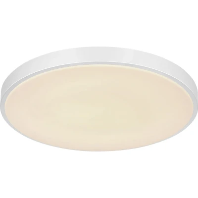 Afbeelding van Globo Sonny LED plafondlamp, zilver, CCT, Ø 50,5 cm