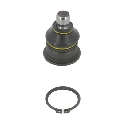 Afbeelding van Moog Fuseekogel RE BJ 2094