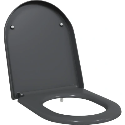 Afbeelding van vidaXL Snelsluit Toiletzitting met Soft Close Duroplast Anthraciet