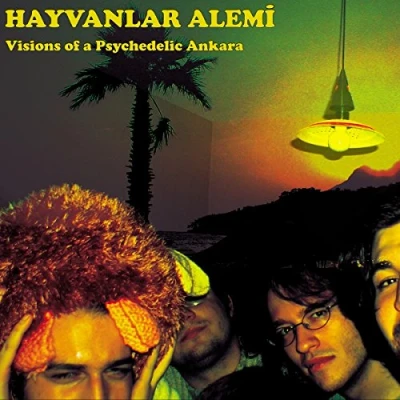 Afbeelding van Hayvanlar Alemi Visions Of A Psychedelic Ankara (LP)