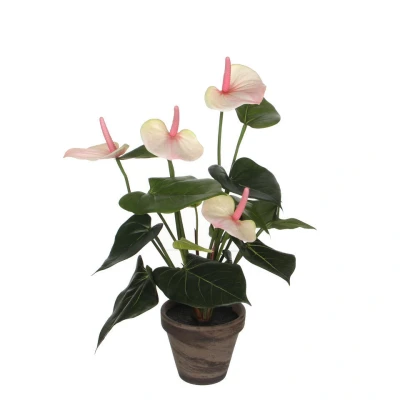 Afbeelding van Anthurium Kunstplant in Bloempot Stan H40 x Ø30 cm Lichtroze