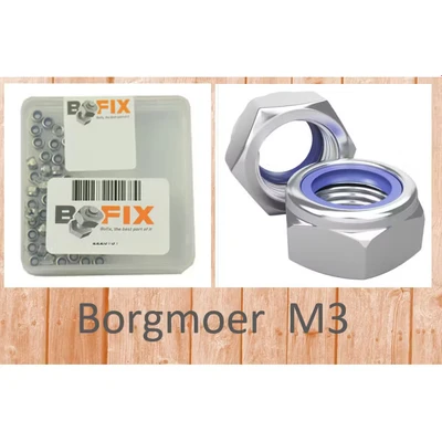 Afbeelding van Bofix Borgmoer M3 Rvs (P50)