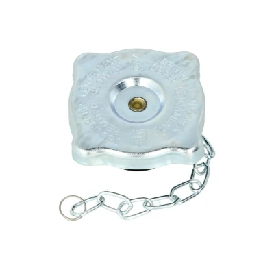 Afbeelding van Febi Bilstein Radiateurdop 06571