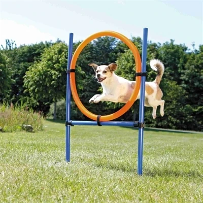 Afbeelding van Trixie Dog Activity Agility Ring Blauw / Oranje 65X3X115 CM