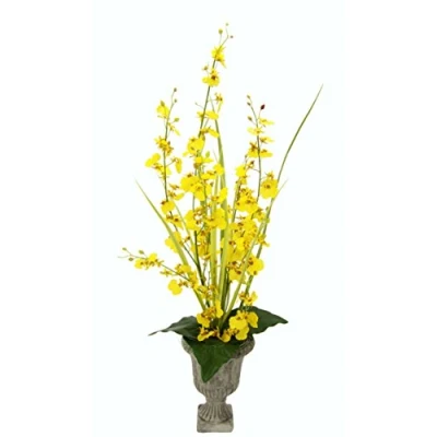Afbeelding van Dansende orchidee in de beker.