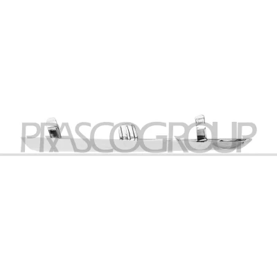 Afbeelding van Sier / beschermingspaneel, bumper PRASCO TY3301223