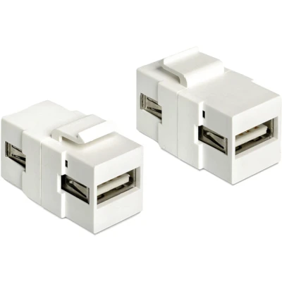 Afbeelding van Delock 86317 Keystone module USB 2.0 A female &gt; wit