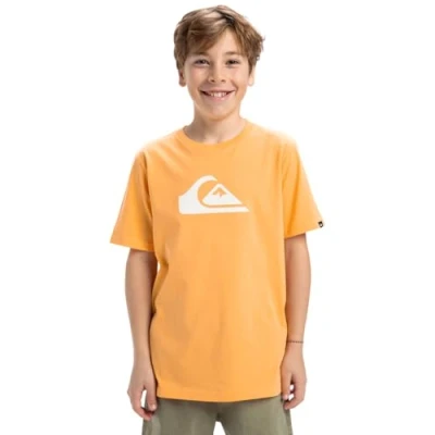 Afbeelding van Quiksilver LOGO Unisex Tshirt print, Maat: 140, Ngr