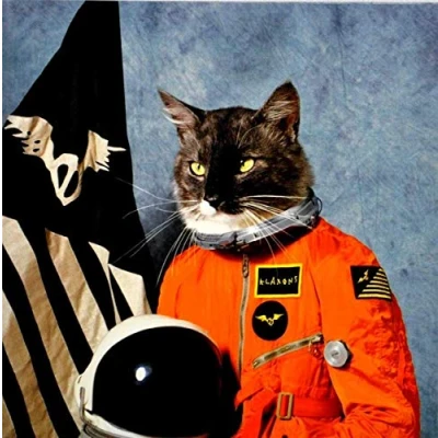Afbeelding van Klaxons Surfing The Void (CD)