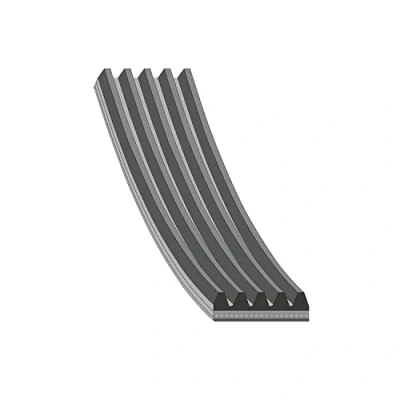 Afbeelding van Febi Bilstein Poly V riem 28831