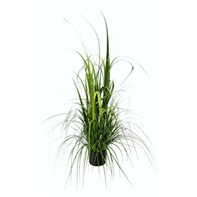 Afbeelding van I.GE.A. Kunstplant Gras in pot (1 stuk)