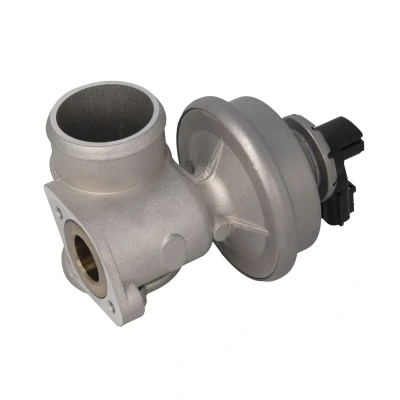 Afbeelding van Nissens EGR klep 98420