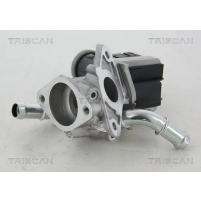 Afbeelding van Triscan EGR klep 8813 16036