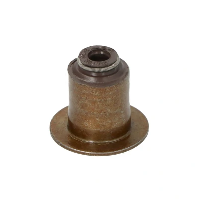 Afbeelding van Reinz Klepsteeldichting 70 12643 00
