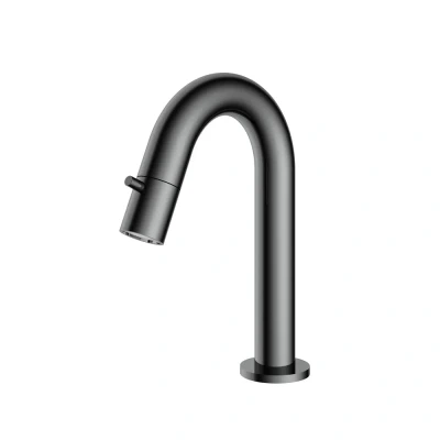 Afbeelding van HotBath Dude Fonteinkraan opbouw u uitloop 11.8cm Chroom.Zwart