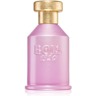 Afbeelding van Uniseks Parfum Bois 1920 Rosa Di Filare EDP 100 ml