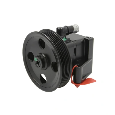 Afbeelding van Lauber Servopomp 55.4306