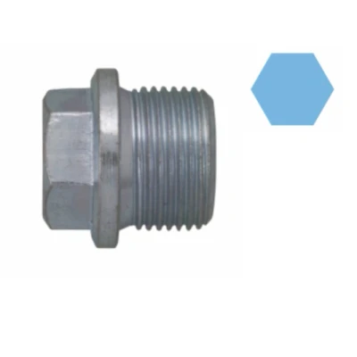 Afbeelding van Corteco Olie aftapplug / carterplug 220145S