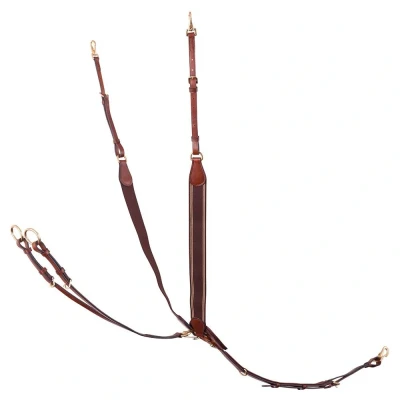 Afbeelding van BR Voortuig Taunton Full Tobacco Bruin