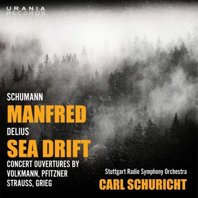 Afbeelding van Stuttgart Radio Symphony Orchestra &amp; Carl Schuricht Schumann: Manfred / Delius: Sea Drift (2 CD)