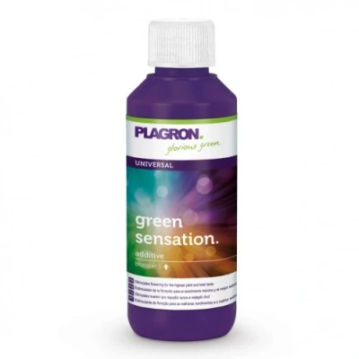 Afbeelding van PLAGRON GREEN SENSATION 100 ML